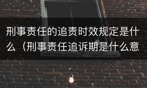 刑事责任的追责时效规定是什么（刑事责任追诉期是什么意思）
