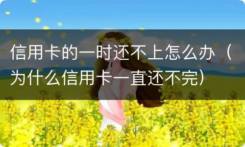 信用卡的一时还不上怎么办（为什么信用卡一直还不完）