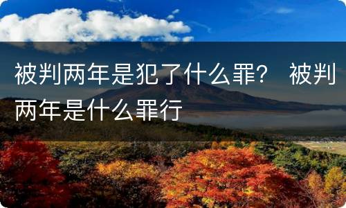 被判两年是犯了什么罪？ 被判两年是什么罪行