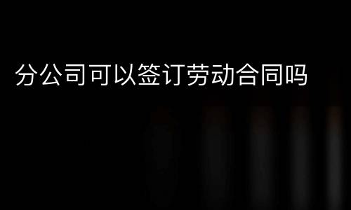 分公司可以签订劳动合同吗