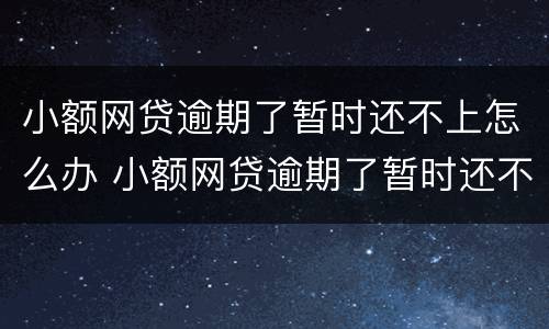 小额网贷逾期了暂时还不上怎么办 小额网贷逾期了暂时还不上怎么办呢
