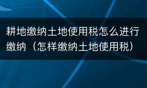 耕地缴纳土地使用税怎么进行缴纳（怎样缴纳土地使用税）