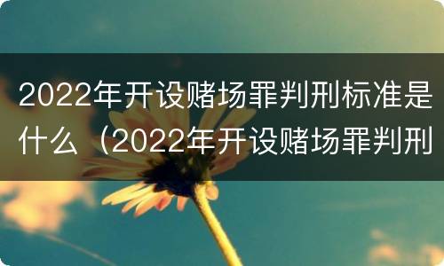 2022年开设赌场罪判刑标准是什么（2022年开设赌场罪判刑标准是什么样的）