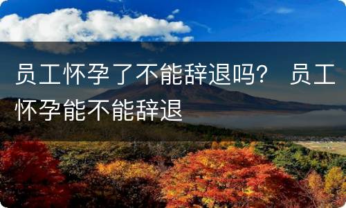 员工怀孕了不能辞退吗？ 员工怀孕能不能辞退