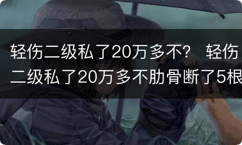 轻伤二级私了20万多不？ 轻伤二级私了20万多不肋骨断了5根