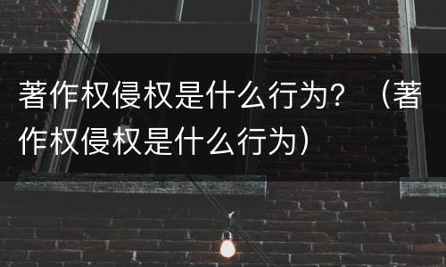 著作权侵权是什么行为？（著作权侵权是什么行为）