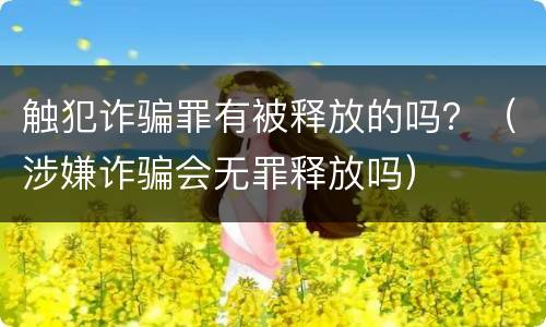 触犯诈骗罪有被释放的吗？（涉嫌诈骗会无罪释放吗）