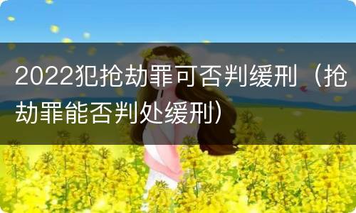 2022犯抢劫罪可否判缓刑（抢劫罪能否判处缓刑）