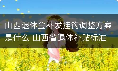 山西退休金补发挂钩调整方案是什么 山西省退休补贴标准