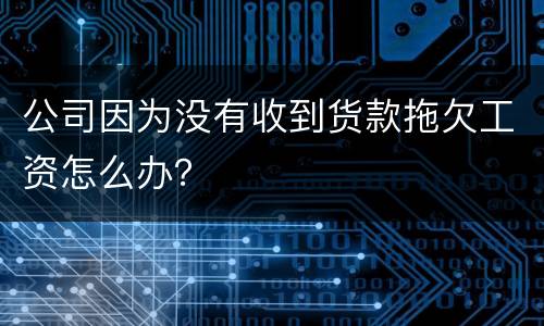 公司因为没有收到货款拖欠工资怎么办？
