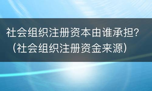 社会组织注册资本由谁承担？（社会组织注册资金来源）