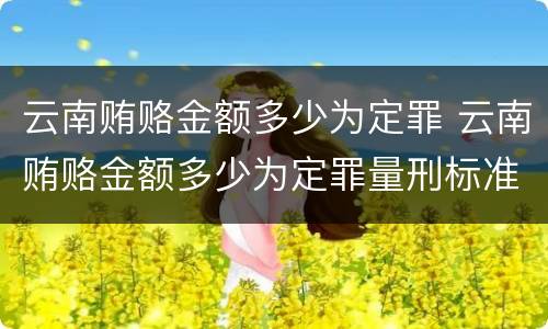 云南贿赂金额多少为定罪 云南贿赂金额多少为定罪量刑标准