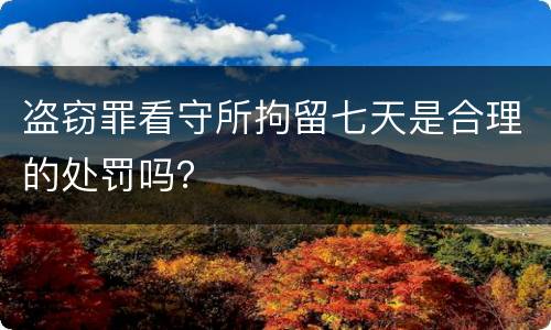 盗窃罪看守所拘留七天是合理的处罚吗？