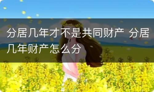 分居几年才不是共同财产 分居几年财产怎么分