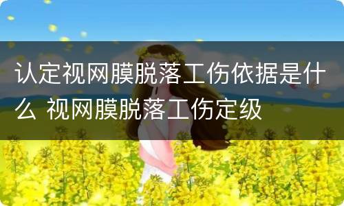 认定视网膜脱落工伤依据是什么 视网膜脱落工伤定级