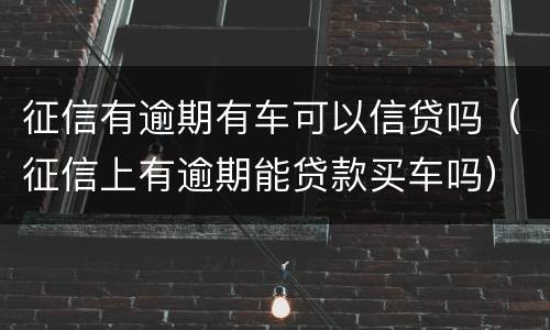 征信有逾期有车可以信贷吗（征信上有逾期能贷款买车吗）