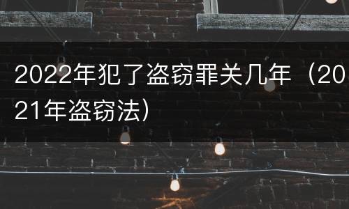 2022年犯了盗窃罪关几年（2021年盗窃法）
