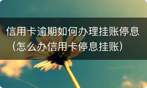 信用卡逾期如何办理挂账停息（怎么办信用卡停息挂账）