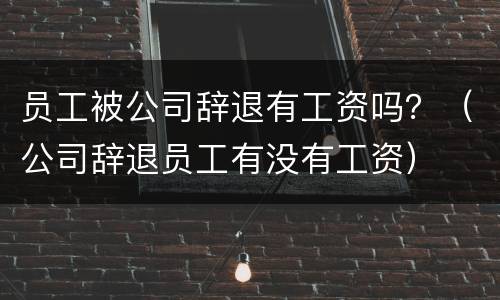 员工被公司辞退有工资吗？（公司辞退员工有没有工资）