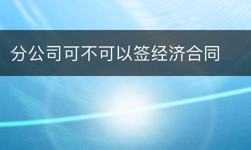 分公司可不可以签经济合同