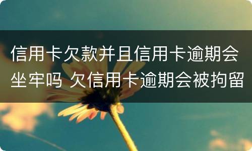 信用卡欠款并且信用卡逾期会坐牢吗 欠信用卡逾期会被拘留吗