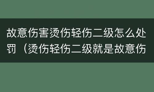 故意伤害烫伤轻伤二级怎么处罚（烫伤轻伤二级就是故意伤害吗）