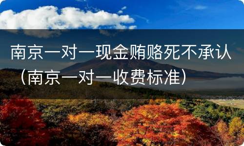 南京一对一现金贿赂死不承认（南京一对一收费标准）