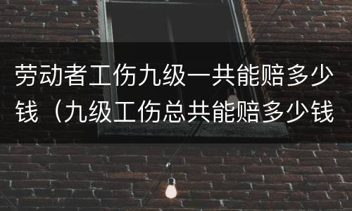 劳动者工伤九级一共能赔多少钱（九级工伤总共能赔多少钱）