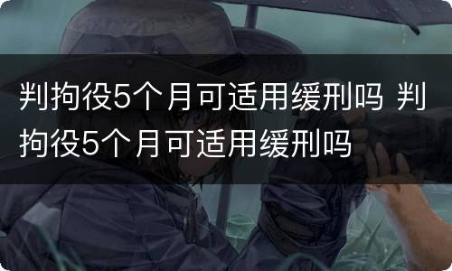 判拘役5个月可适用缓刑吗 判拘役5个月可适用缓刑吗