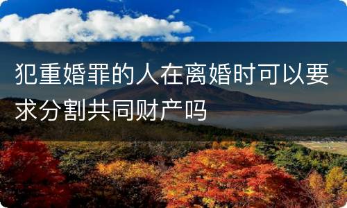 犯重婚罪的人在离婚时可以要求分割共同财产吗