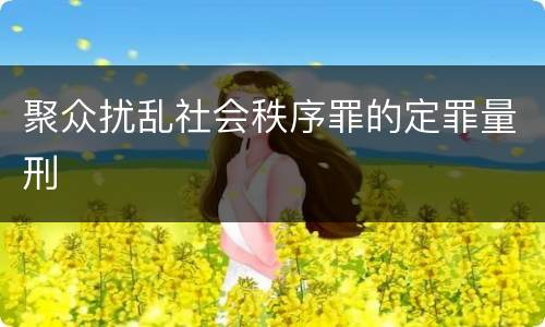 聚众扰乱社会秩序罪的定罪量刑