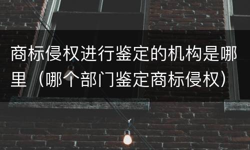 商标侵权进行鉴定的机构是哪里（哪个部门鉴定商标侵权）