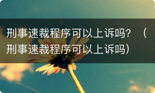 刑事速裁程序可以上诉吗？（刑事速裁程序可以上诉吗）