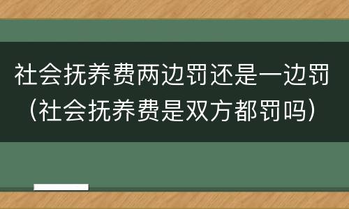 社会抚养费两边罚还是一边罚（社会抚养费是双方都罚吗）