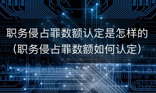 职务侵占罪数额认定是怎样的（职务侵占罪数额如何认定）