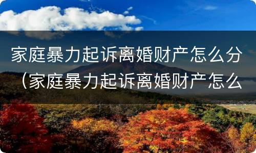 家庭暴力起诉离婚财产怎么分（家庭暴力起诉离婚财产怎么分配）