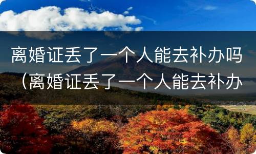 离婚证丢了一个人能去补办吗（离婚证丢了一个人能去补办吗要多少钱）