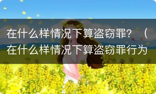 在什么样情况下算盗窃罪？（在什么样情况下算盗窃罪行为）
