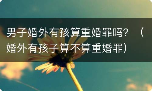男子婚外有孩算重婚罪吗？（婚外有孩子算不算重婚罪）