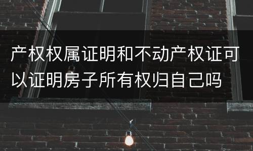 产权权属证明和不动产权证可以证明房子所有权归自己吗