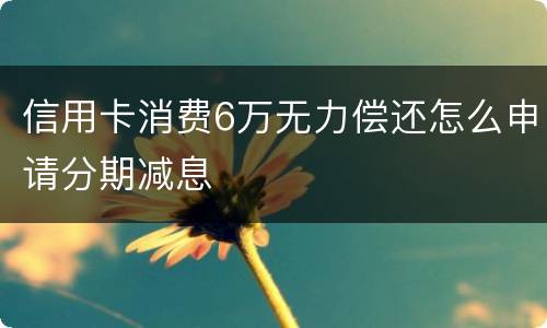 信用卡消费6万无力偿还怎么申请分期减息