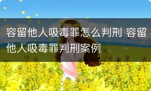容留他人吸毒罪怎么判刑 容留他人吸毒罪判刑案例