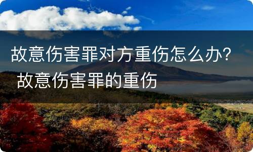 故意伤害罪对方重伤怎么办？ 故意伤害罪的重伤