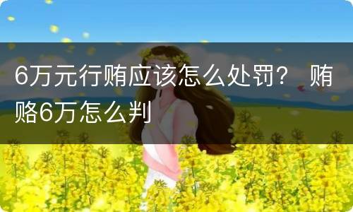 6万元行贿应该怎么处罚？ 贿赂6万怎么判