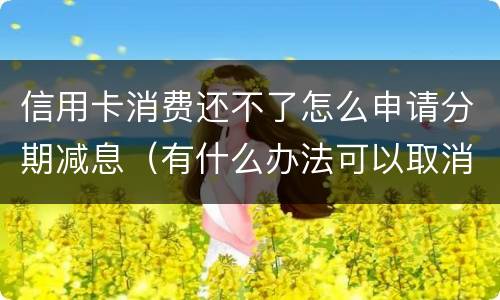 信用卡消费还不了怎么申请分期减息（有什么办法可以取消信用卡分期）