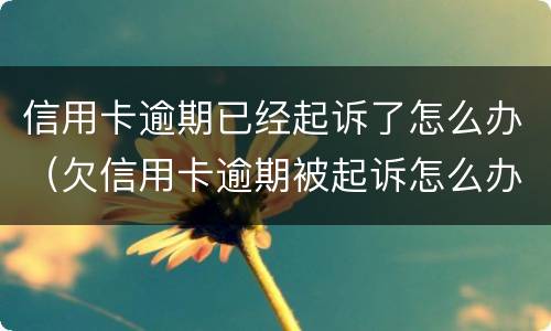 信用卡逾期已经起诉了怎么办（欠信用卡逾期被起诉怎么办）