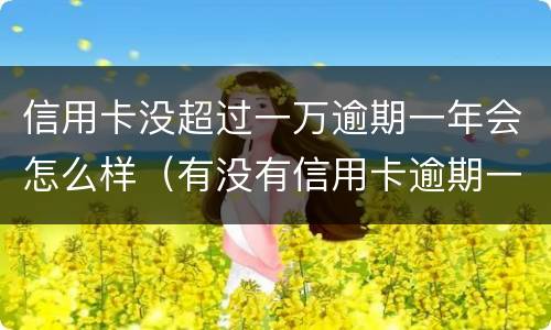 信用卡没超过一万逾期一年会怎么样（有没有信用卡逾期一年以上的）