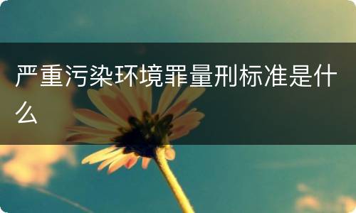 严重污染环境罪量刑标准是什么