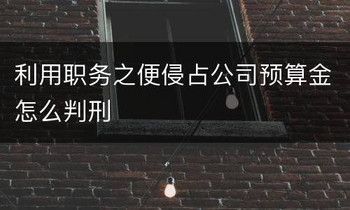 利用职务之便侵占公司预算金怎么判刑