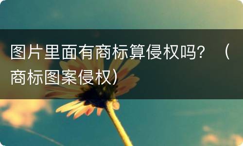 图片里面有商标算侵权吗？（商标图案侵权）